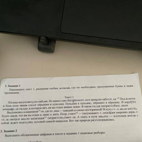 Перепишите текст 1, раскрывая скобки, вставляя, где это необходимо, пропущенные буквы и знаки препин