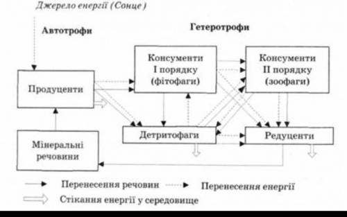 экосистема Азовского моря​