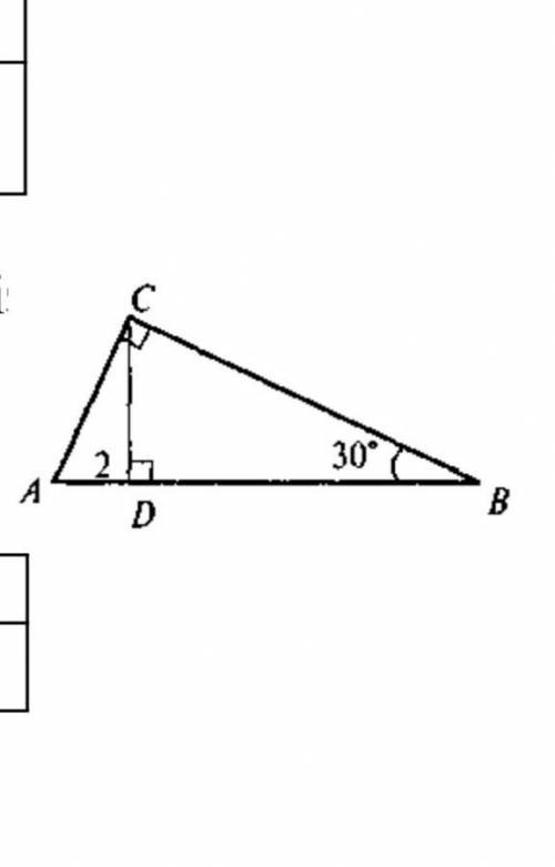 На малюнку зображено трикутник АВС, СD висота, АD=2см, ∠В=30°, знайти сторону АС​