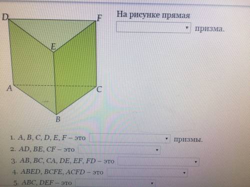 Определите виды призм и выбери названия их элементов