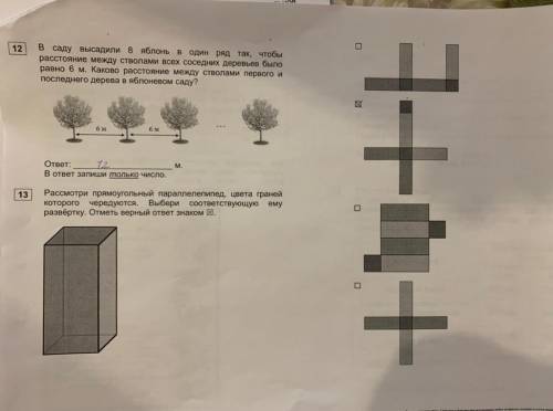 Номер 12 и 13 надо написать правильный ответ