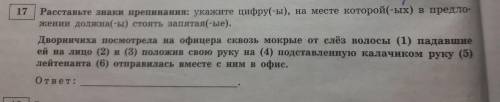 Расставьте знаки препинания в 5 предложениях и ОБЪЯСНИТЕ их расстановку