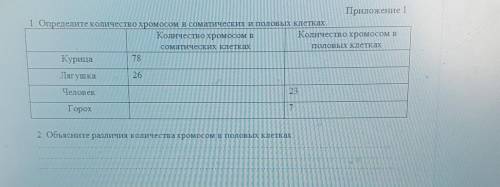 Приложение 1 1. Определите количество хромосом в соматических и половых клетках.Количество хромосом