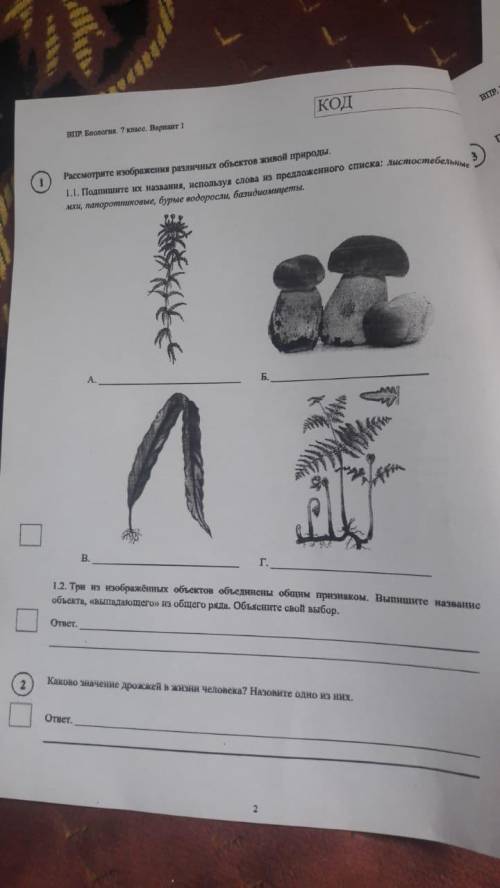 Ребят,выручайте,у меня ВПР, буду признателен если ответите.Это биология,заранее