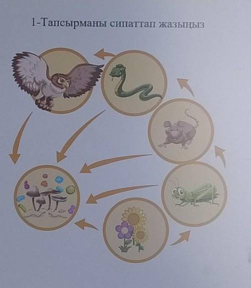 1-Тапсырманы сипаттап жазыңыз​