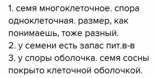 В отличие от споры семя сосны имеет .​