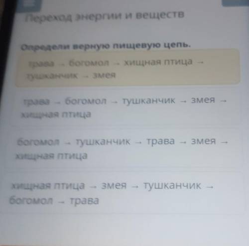 Переход энергии и веществ Определи верную пищевую цепь.Хищная птицатравабогомолтушканчик Змеятушканч