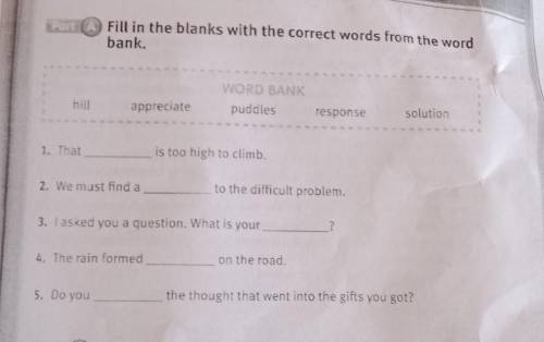 Par Fill in the blanks with the correct words from the word bank.WORD BANKpuddleshillappreciaterespo