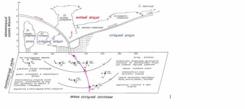 . Составление прогноза погоды по местным признакам Определить погоду в прохождении фронта холодной о