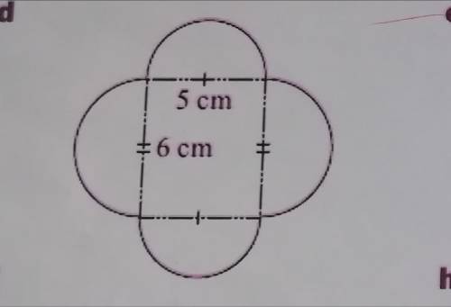 Найдите площадь всей фигуры. Это площадь прямоугольника + ещё и площадь полукругов. Мне нужна площад