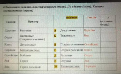 Классификация растений по образцу слева указать соответствие справа​