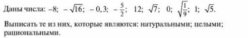 Выписать те из них, которые являются: натуральными; целыми;рациональными.​