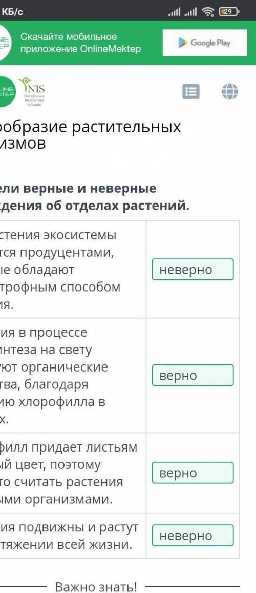 Верных ответов: 2 большие листовые пластинкиголосеменныелистья в виде иголокпокрытосеменные ​