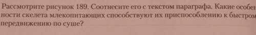 Рассмотрите рисунок 189. Соотнесите его с текстом параграфа. Какие особен- ности скелета млекопитающ