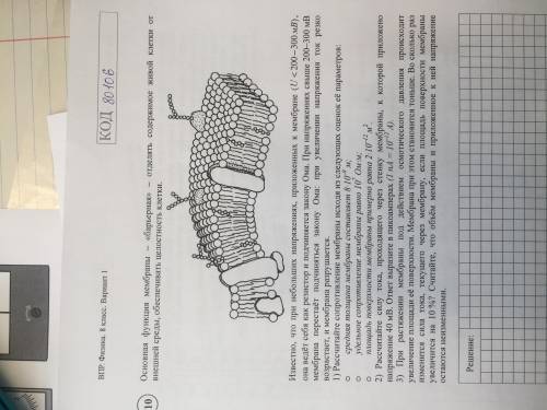 Известно, что при небольших напряжениях, приложенных к мембране..
