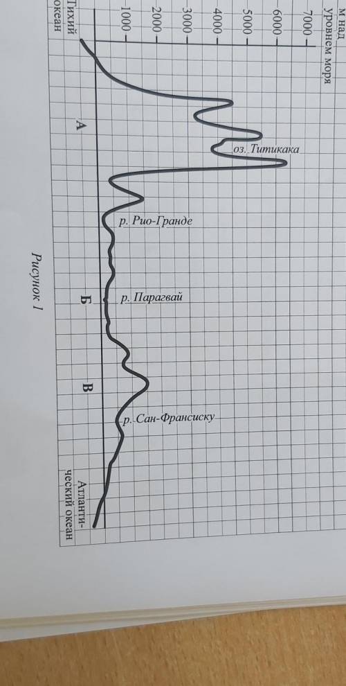 2.2. Укажите географическое название крупной формы рельефа, которой соответствует участок профиля, о