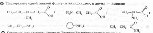 Подчеркните одной линией формулы аминокислот, а двумя — аминов: