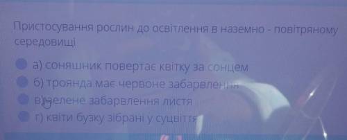 Пристосування рослин до освітлення в наземно - повітряномусередовищі​