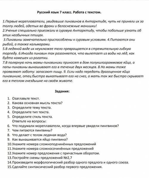 по русскому языку 7 класс​