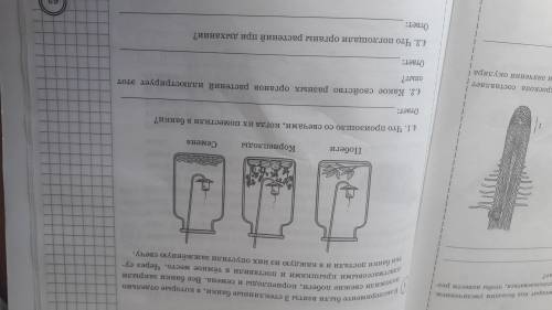 , пожлуйста надо. 4. Задание