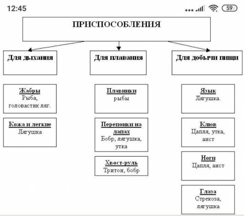 Начертить таблицу выявление при у животных к среде обитания. если быстро​