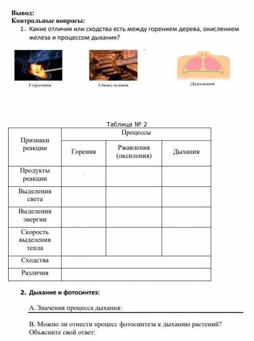 Контрольные вопросы: 1. Какие отличия или сходства есть между горением дерева, окислением железа и п