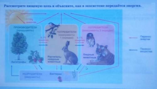 Рассмотрите пищевую цепь и объясните, как в экосистеме передаётся энергия. 194NeprintПРОИЗВОДИТЕЛИ(п