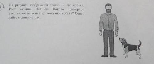 На рисунке изображены хозяина и его собака. Рост хозяина 180 см. Каково примерное расстояние от земл