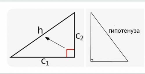Что такое катет и гипотенуза. ответьте и не пишите разную фигню!​