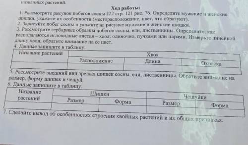 .Надо только с третьего задания до седьмого. подписываюсь, ставлю за ответ подписка, пять звёзд​