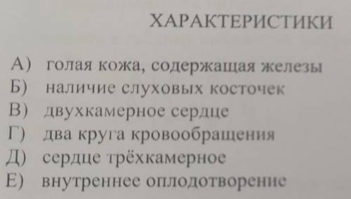 1)хрящевые рыбы2) земноводныеСопоставить​