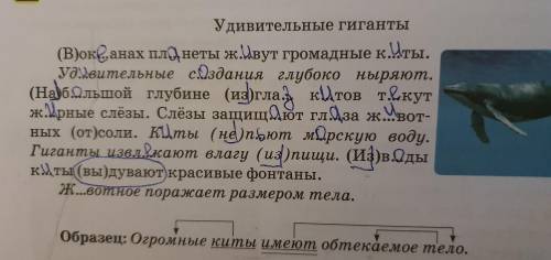 Подчеркни грамматическую основу в каждом предложении. Вставь пропущенные буквы,раскрывая скобки.Спиш