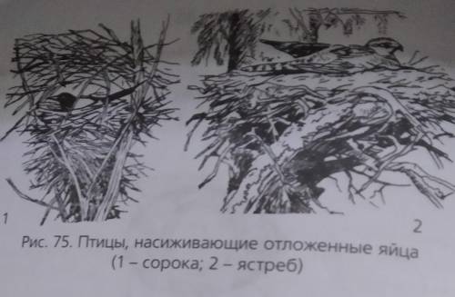 Рассмотрите рисунок и напишите каково значение гнезда в ведение потомства у птиц и какие условия для