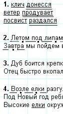 Фонетический разбор всю долгою зиму елки