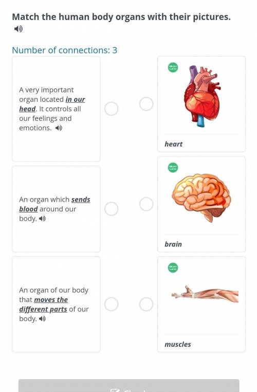 How does your body work? Match the human body organs with their picturesNumber of connections: 3  ​