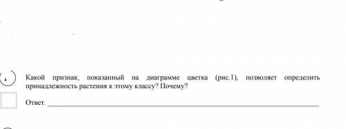 Здравствуйте решить вопрос по Биологии, - за вашу . Файлы прикрепил. Если что, Цветок для 10 задания