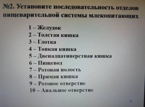 2. Установите последовательность отделов пищеварительной системы млекопитающих. Заранее ❤️