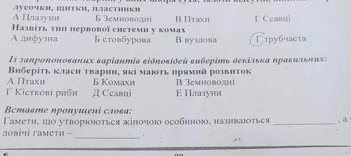 Вставте пропущені слова: . Гамети, що утворюються жіночою особиною, називаютьсяловічі гамети —ачо-​