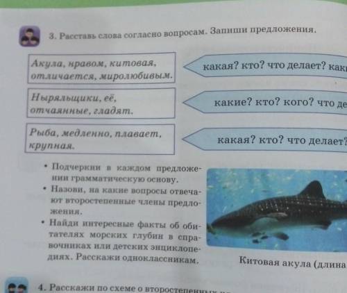 3. Расставь слова согласно вопросам. ПрочиеВалогкакая? кто? что делает? каким?Акула, нравом, китовая