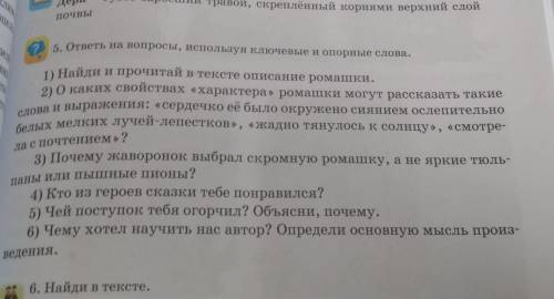 ответь на вопросы, используя ключевые и опорные слова. сказка ромашка либо расказ ромашка