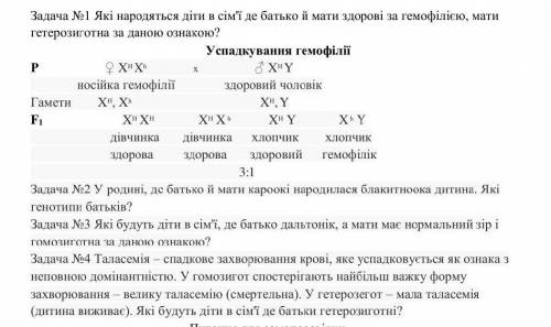 решить лабораторную работу ​