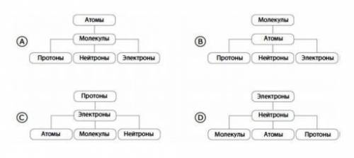 Какая из диаграмм лучше всего отображает строение вещества,начиная от самых сложных частиц вверху и 