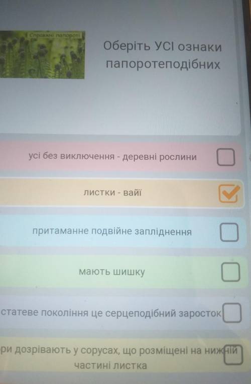 Оберіть усі ознаки папоротеподібних​