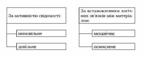 Як зберігається інформація в пам'яті людини? Які є види збереження інформації в пам'яті?​