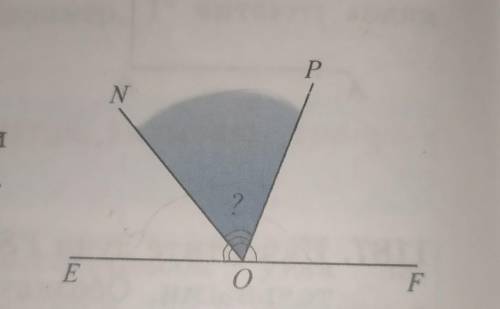 <EOP=110° и <NOF=130°.Найдите градусную меру угла NOP.​