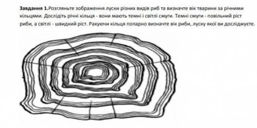 Будь ласка на завтра ето ​