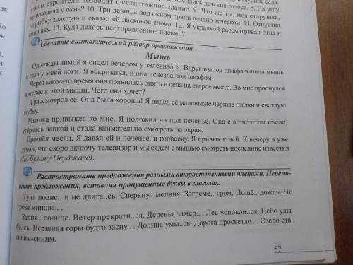 2-Сделайте синтаксический разбор предложений 3-Распространите предложения разными второстепенными чл