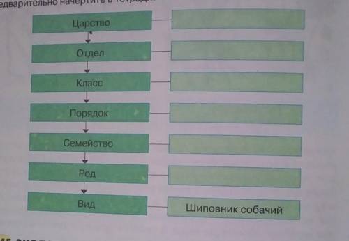 Определите положение шиповника собачьего в системе растительных организмов и заполните пропуски в сх