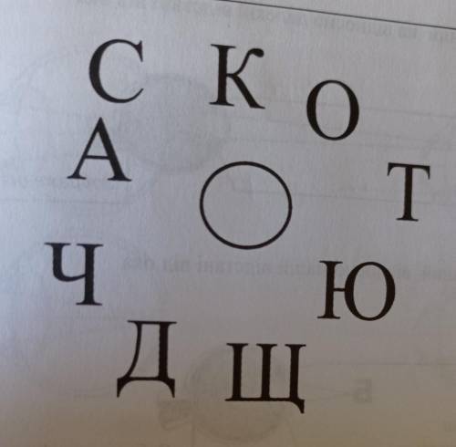 1.1. Трафарет для визначення акомодації ока – це прямокутний листок білого кольору з отвором в центр