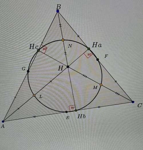 мне доказать эту гипотизу то что это этверждение не верно треугольники abc hbc ahc abh имеют общую 